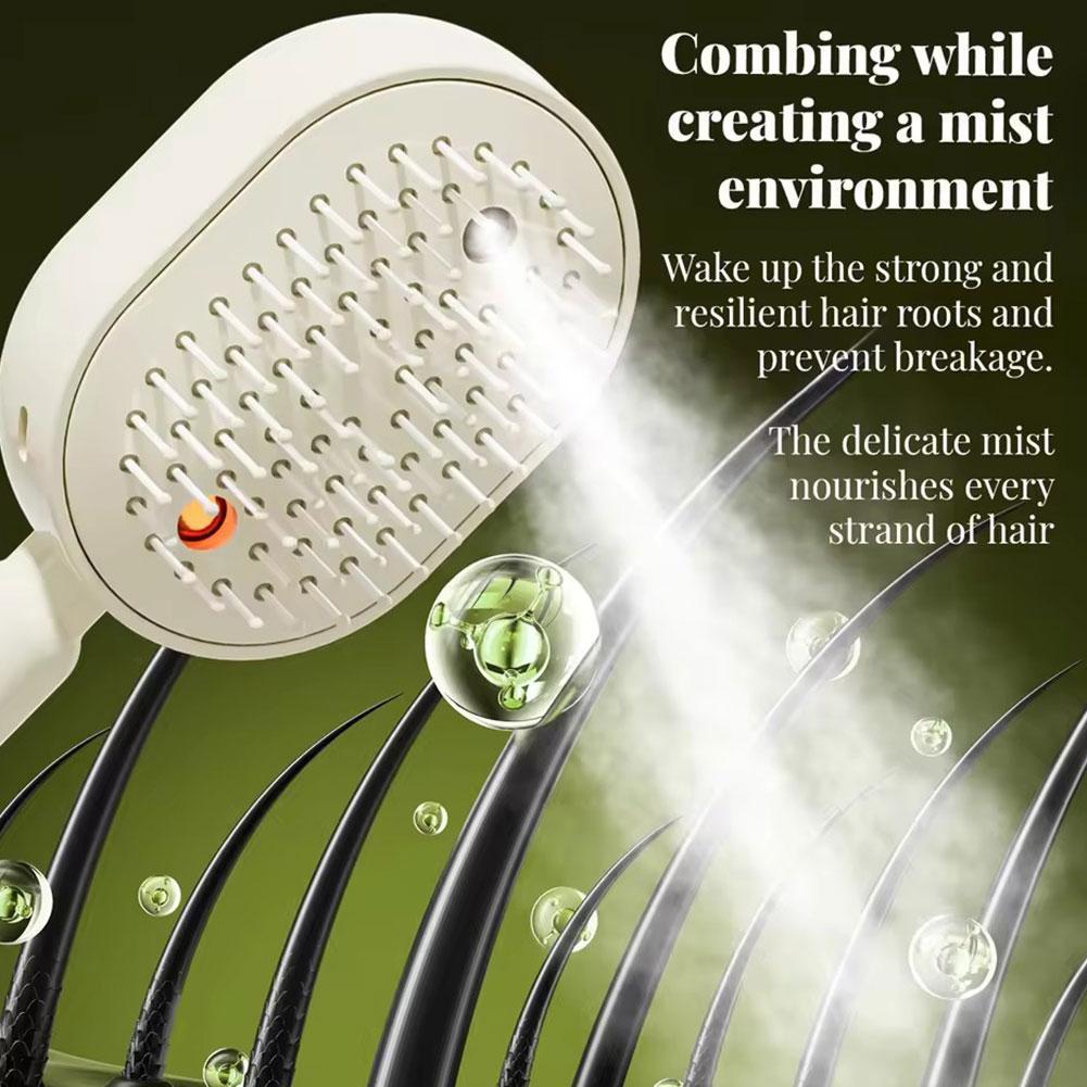 Electric Spray Air Bag Massage - Hair Care Essence Oil Spray review and price